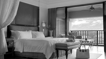 Bed Bugs in Resorts