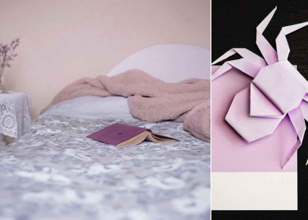 Bed Bug Bite Lawyers in Boise
