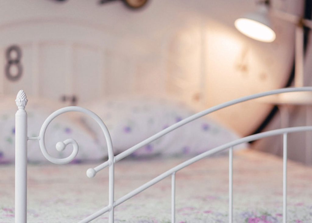 Bed Bug Bite Lawyers in Idaho